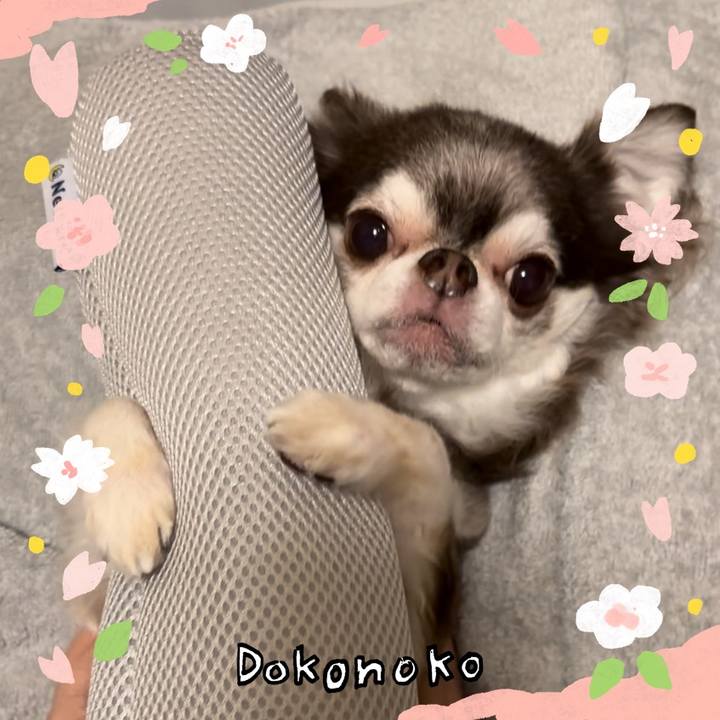 6a9b415b dba6 4d4f 9207 85168342204b 1711262715570