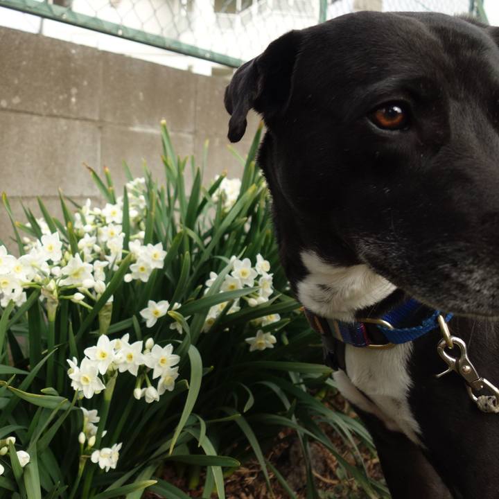 6a9bb1e7 4b28 4c77 b2e3 800272288cfb 1647391745489