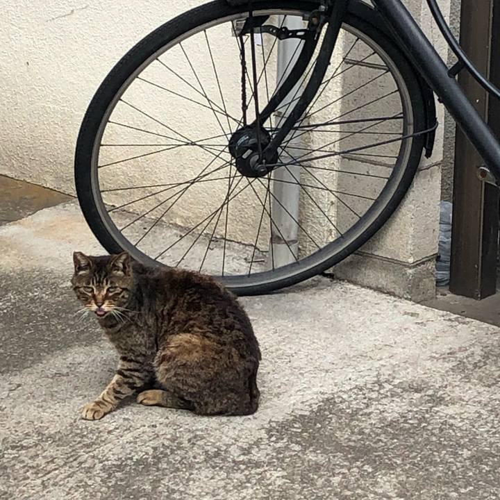 6a9bc818 08b9 4835 8516 e08e3bd9cb0b 1554929232404