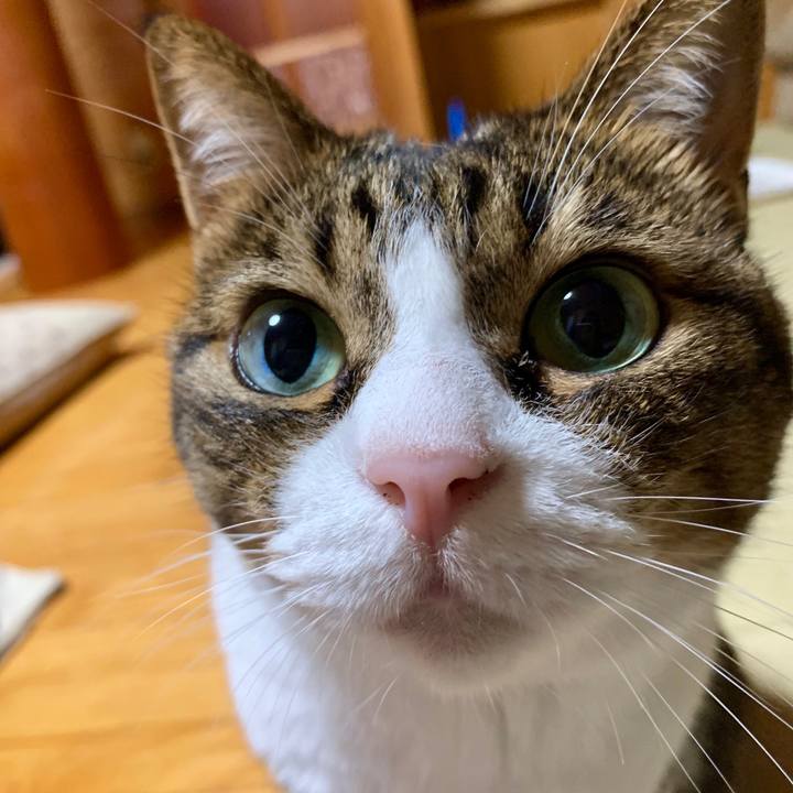 6a9bca77 7b4c 48b0 a83e c682569cd644 1567863678913