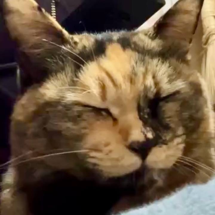 6a9be2c4 1a03 46b7 86a4 20e88692f065 1734232001967