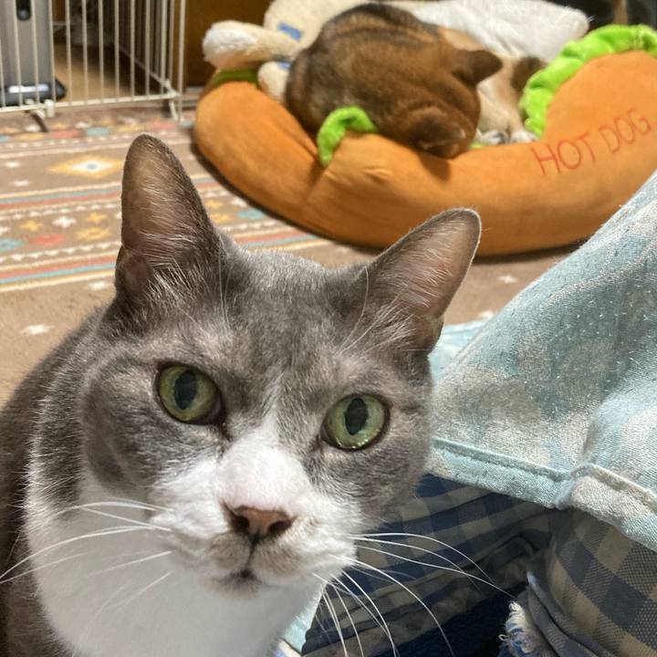 6a9c0064 1508 4a2f a603 8927e821efc8 1745756359699