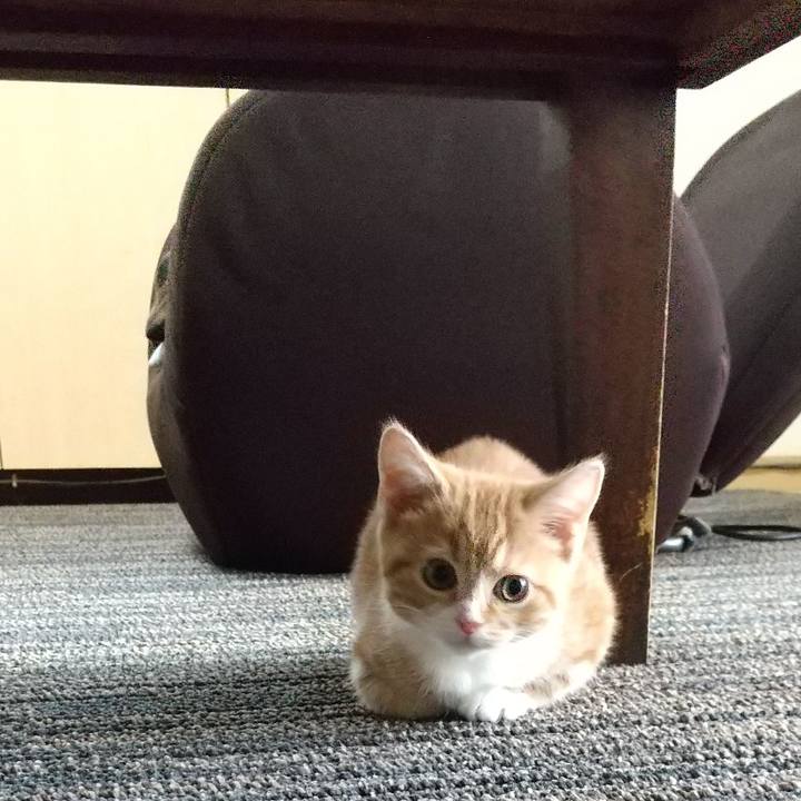 6a9c56db d861 4a1d ad12 58ab806295b4 1622291320958