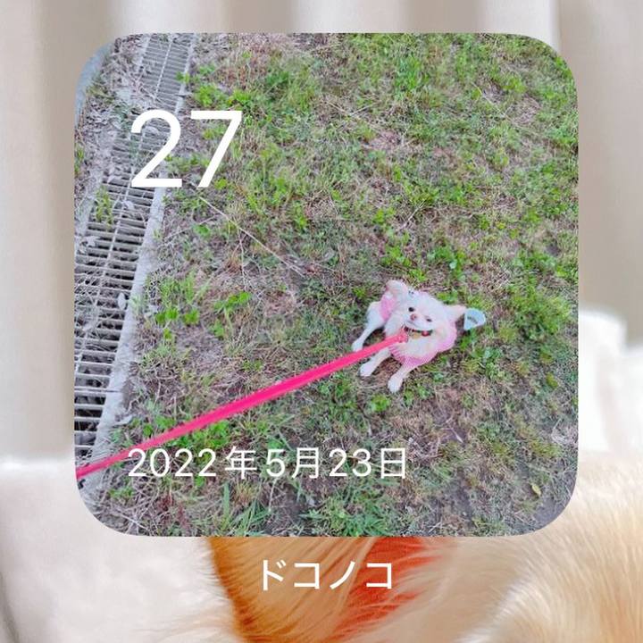 6a9c67b5 ee1f 409a a1f0 ebae9efc818f 1748355032580