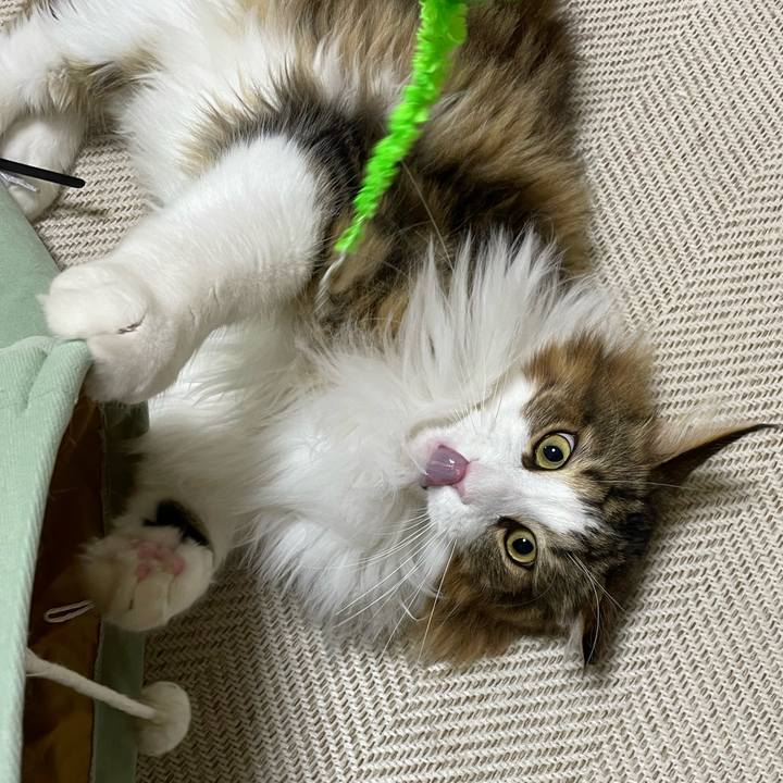 6a9c9b33 53fa 48f6 81cf bb4376ba8b20 1670096513223