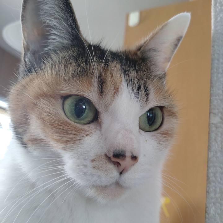 6a9cb8ea f54b 4ba5 936b 5babcc2d1d85 1651284974252