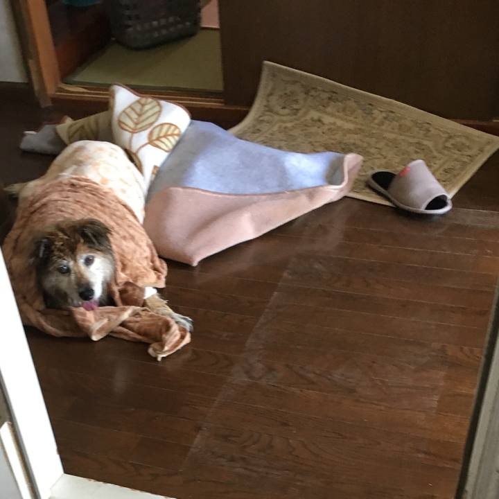 6a9cbde5 11bb 45ba a312 4eab82c497a3 1578861170254