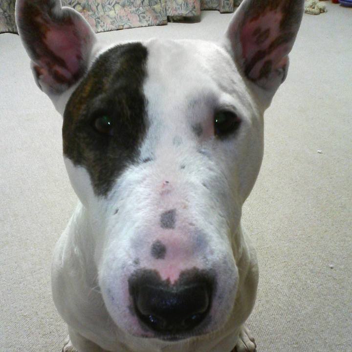 6a9cf322 1273 4e10 a4c5 05eb35e4cbf7 1514682274290