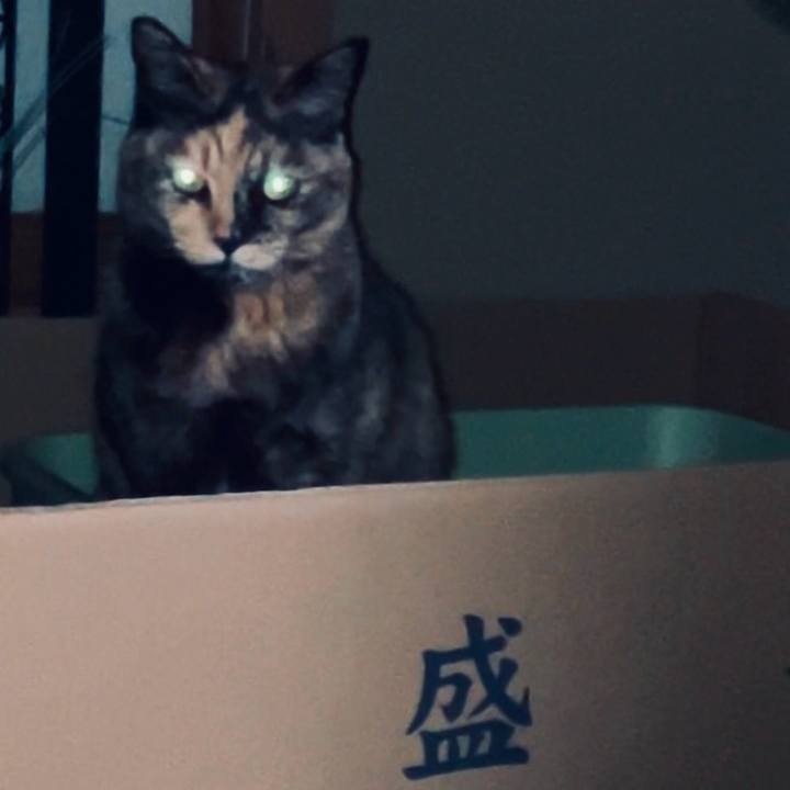 6a9d075f 9447 4f5d 9b77 cfbd923ee7c7 1743194216352