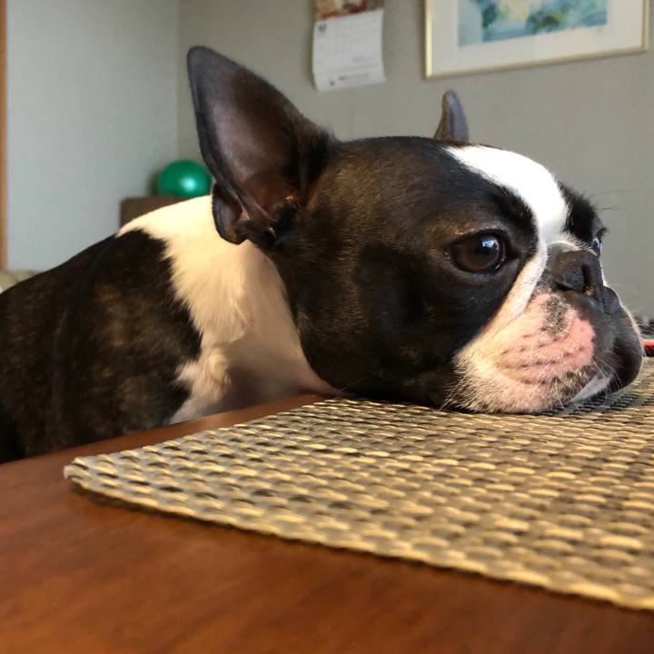 6a9d263b a501 4ed2 a36a 8730b41916d6 1540716422546