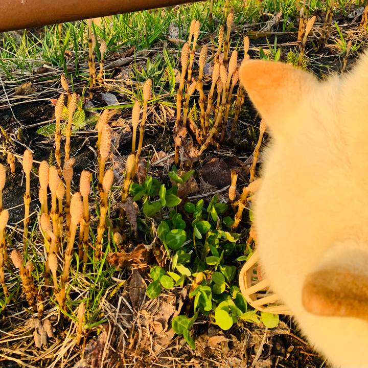 6a9dadb6 4340 4553 933f c71fdd6bfd28 1618868559113