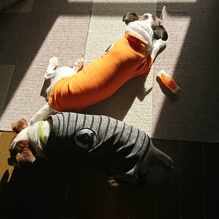 6a9dd078 382e 4951 bc24 18b2359b98f9 1610155440627