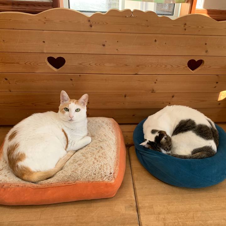 6a9e436d 67d6 4ddc b47f 383ea45a684e 1645945558536