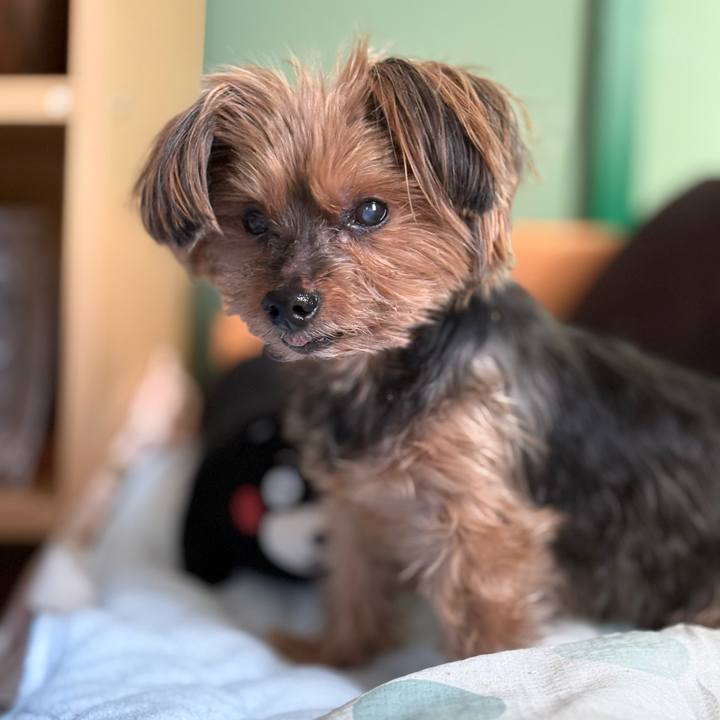 6a9eab36 921b 4518 8e5a 7ce6f90763a9 1738826255163