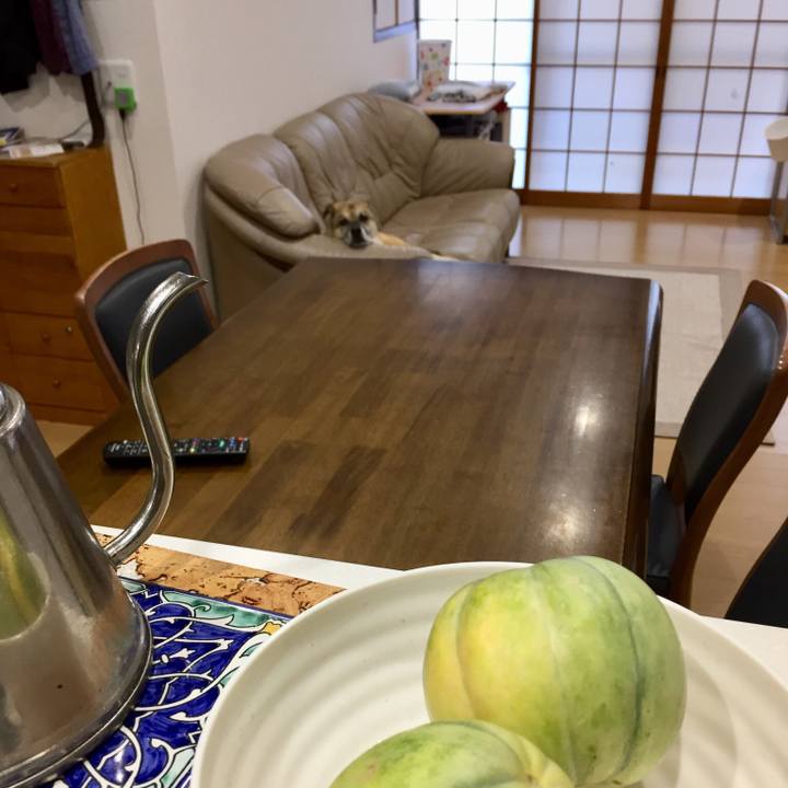 6a9eee81 8417 45ad 9e2c 38741e1d3d16 1533374491809