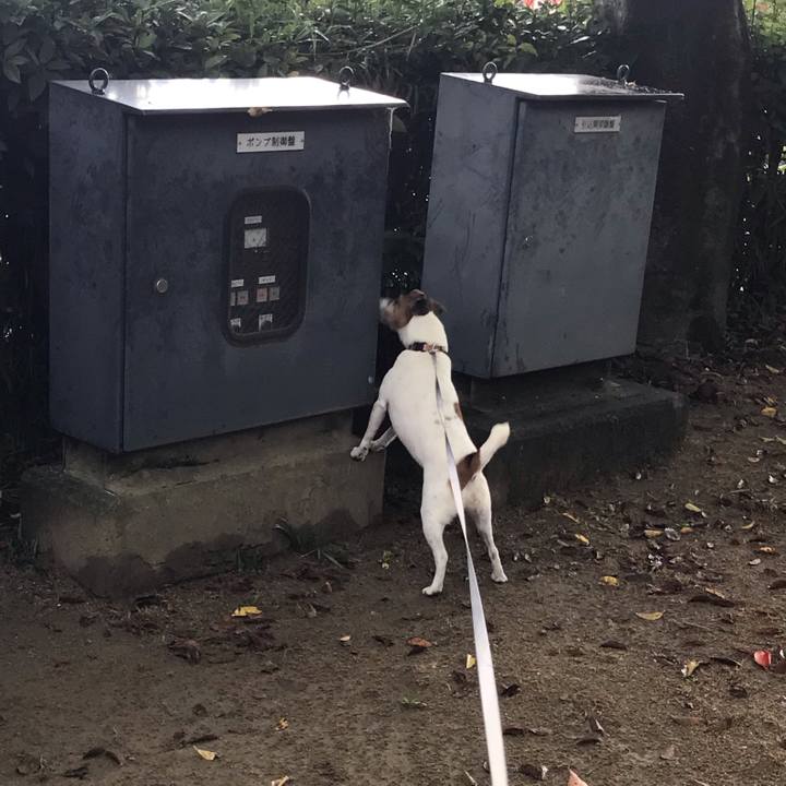 6a9f0d78 fb12 496e 887f a0007650fe1e 1540633714851