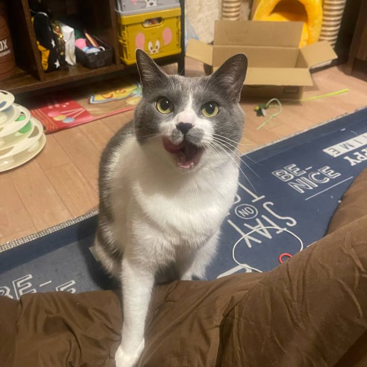 6a9f1fde 33dc 4fda a253 d18355fe30ee 1701786862969