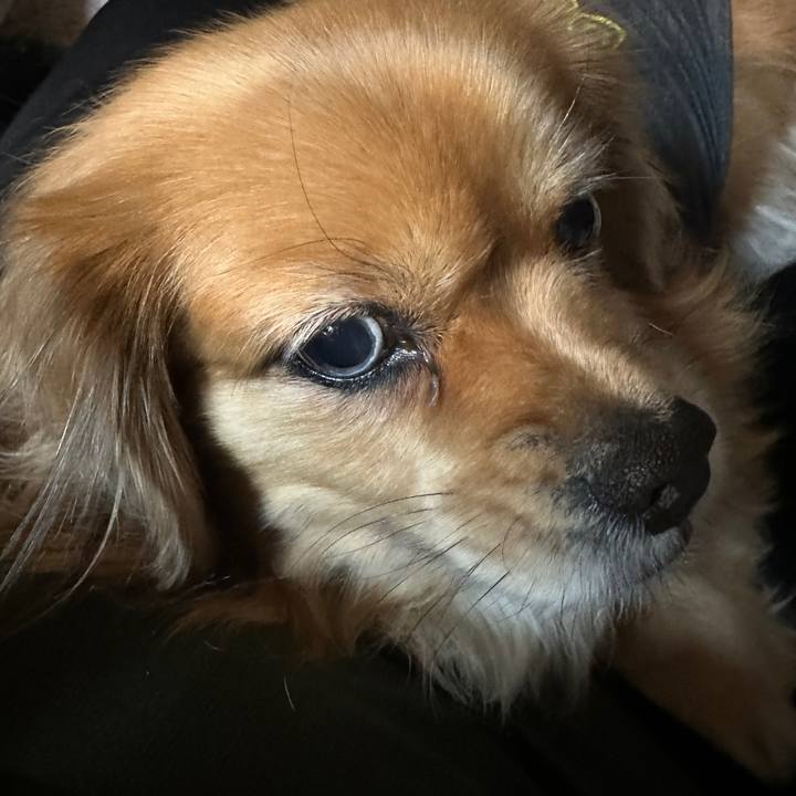 6a9f5ad7 6fd5 4a47 9332 48d8d74344d5 1701470012098