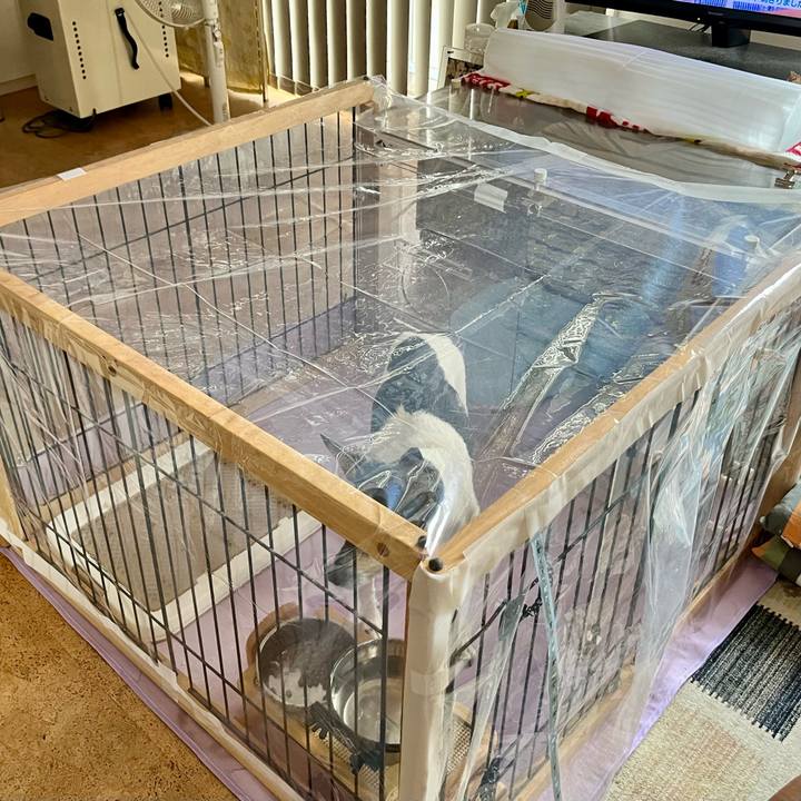 6a9f7843 a5f4 4831 a4c6 da96af4052c5 1656410977424