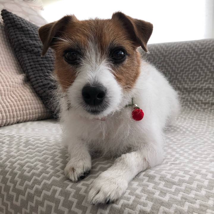 6a9f8250 93b6 4bdf b498 d64228bffd89 1618233481947