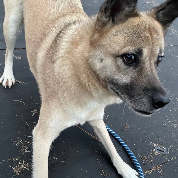 6a9fcdb9 ac26 410e 89f6 db48faf9a317 1671712809502