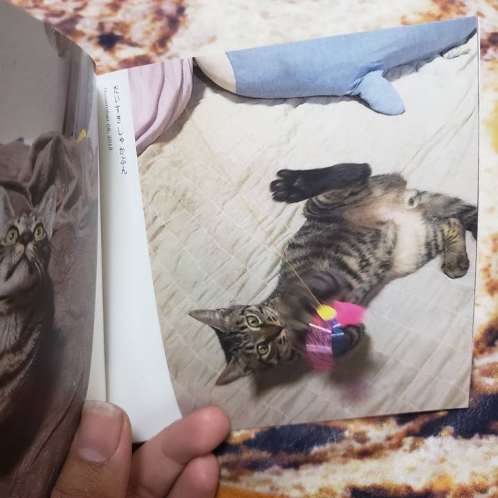 6a9ff301 9e6e 43fb 8b3a 0efc2b43e8fc 1543283152131