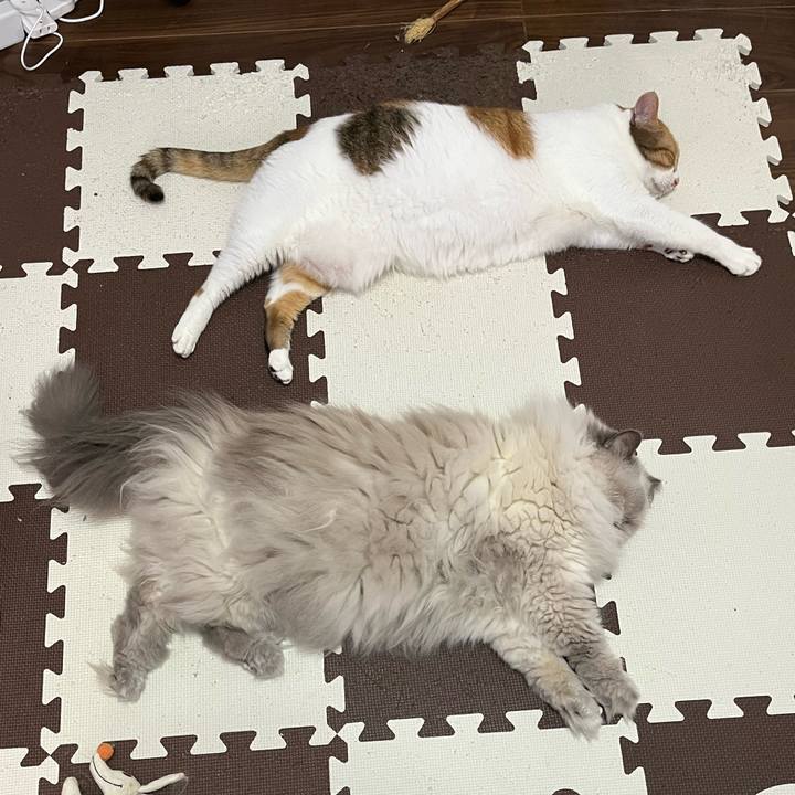 6aa019f6 76db 4576 b5cd c088deb7fc21 1758163533173