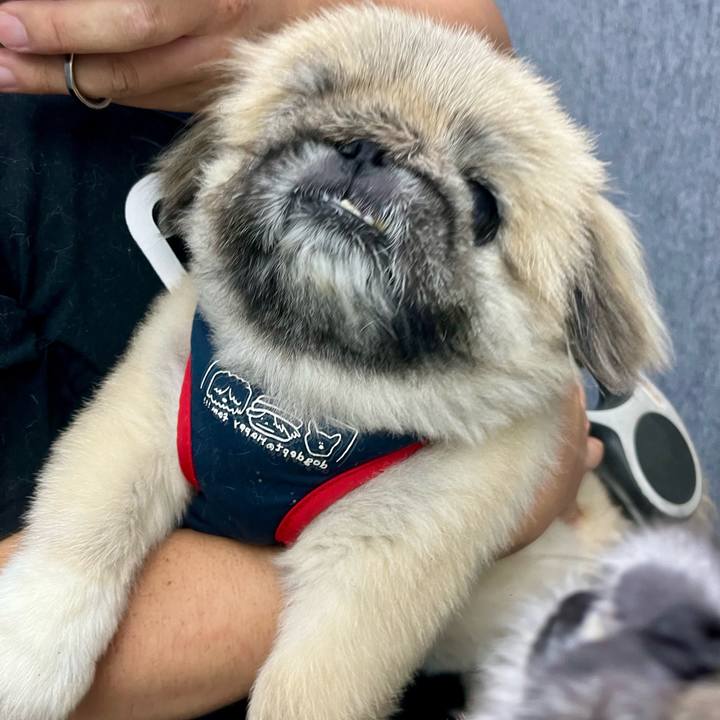 6aa023a8 a9bf 4c6f 94e4 748d836b59ac 1752873711980