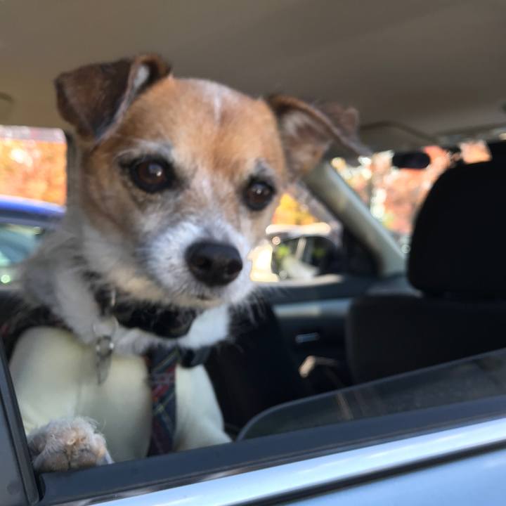 6aa02c9a 0d55 4cd4 a9df 33246d75d01b 1573273921372