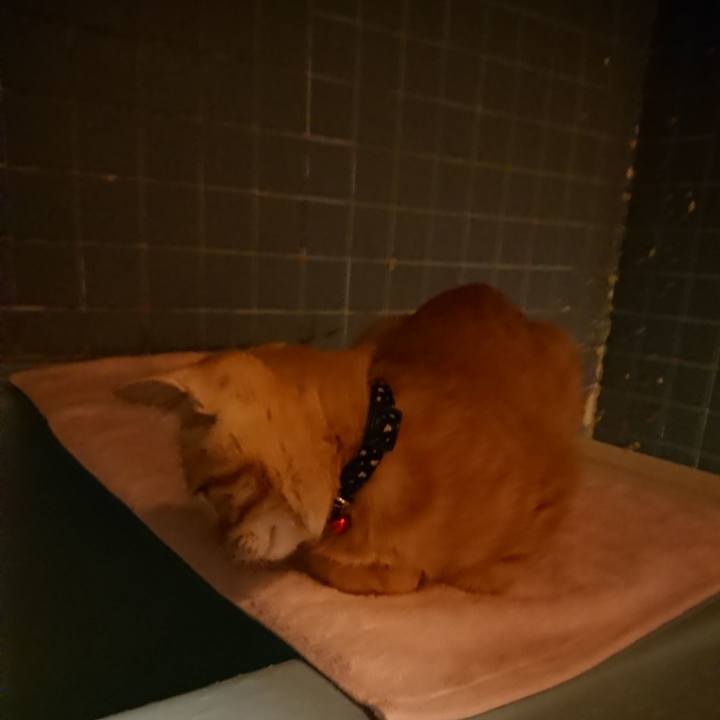 6aa04ef1 7273 41b8 8c26 ec0060f68d75 1634463543300