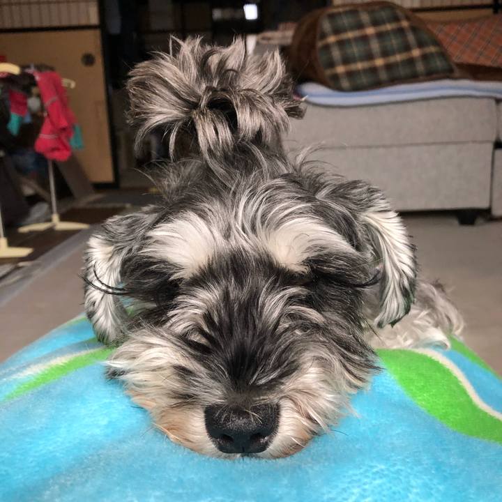 6aa08532 c747 497e b331 3f33efff93cb 1635677721295