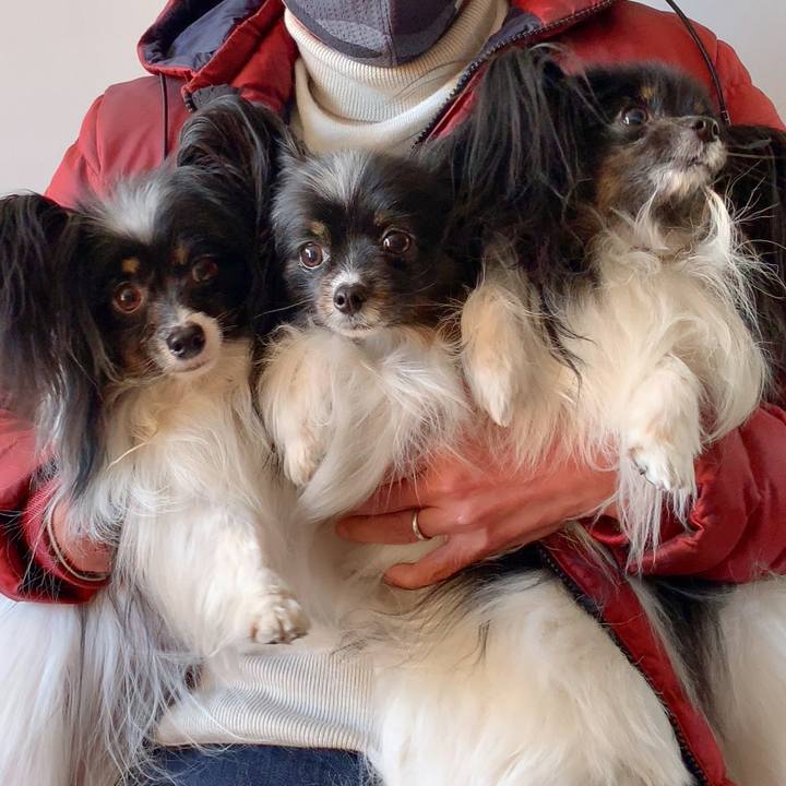 6aa08653 33d2 46ef 96d7 4921aa33d204 1615725367649