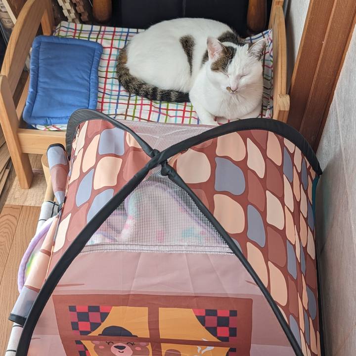 6aa09e49 2e36 4bb6 996c d75f10737baf 1714301721010