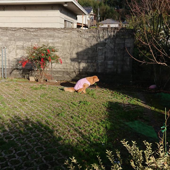 6aa0c9e6 5ee1 4e1f b66d 19ffafc5b8a5 1605947571596