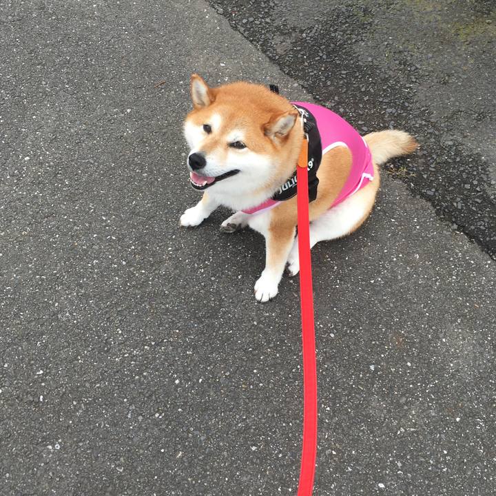 6aa10600 850d 42eb 947f 70057ffb2d7d 1594008468783