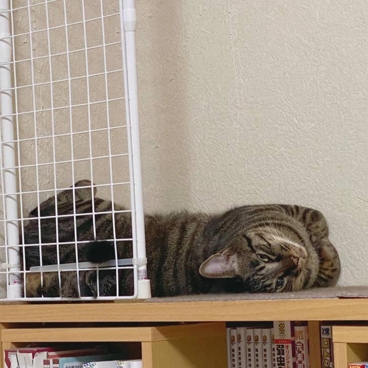 6aa11fae 6eca 4a26 bfbd 5e2adf6440db 1592499238158