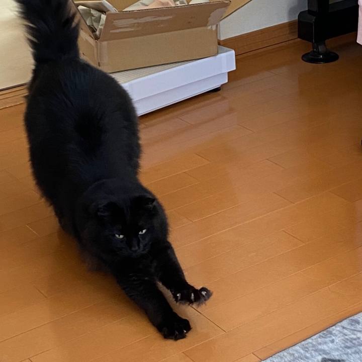 6aa14326 e076 4b42 b3ea 83ebd1d99ebf 1590039056396