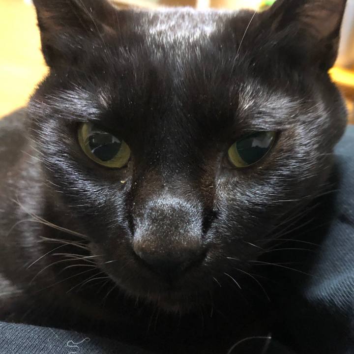 6aa146f6 d2e6 4064 b2dc 5f37e0a75918 1736073069828