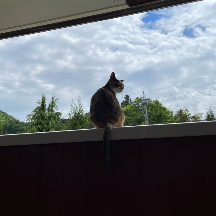 6aa14861 65f7 4fc4 aab0 eb842532e4de 1653647523171