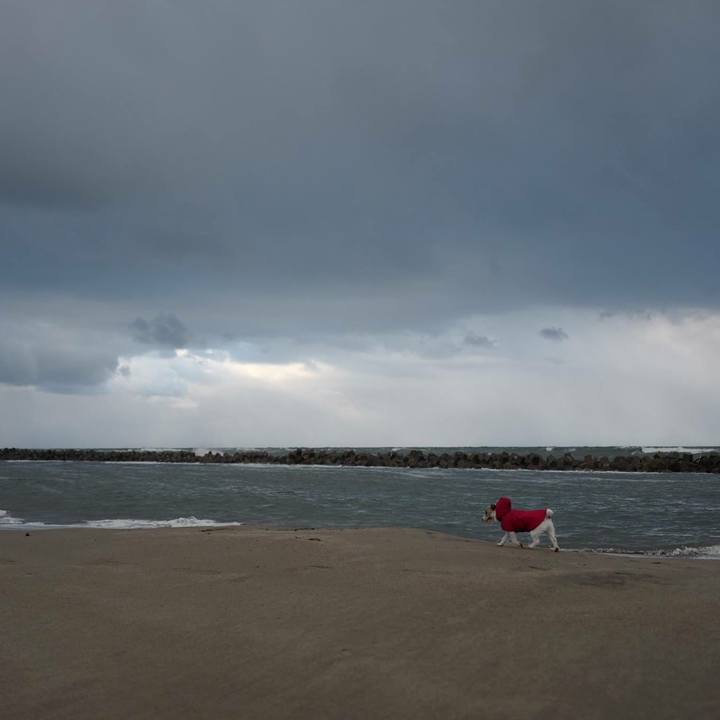 6aa16128 cfd7 4a37 a2fb 0f09caf094f5 1514617593211