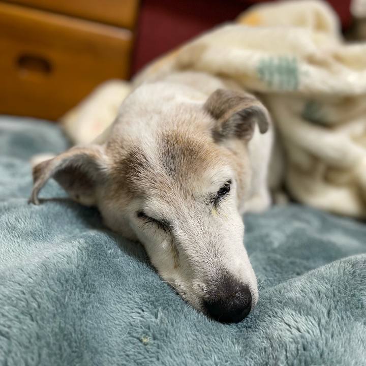 6aa166b4 e0ec 4713 b7db 872ca0cfdcab 1733402238393