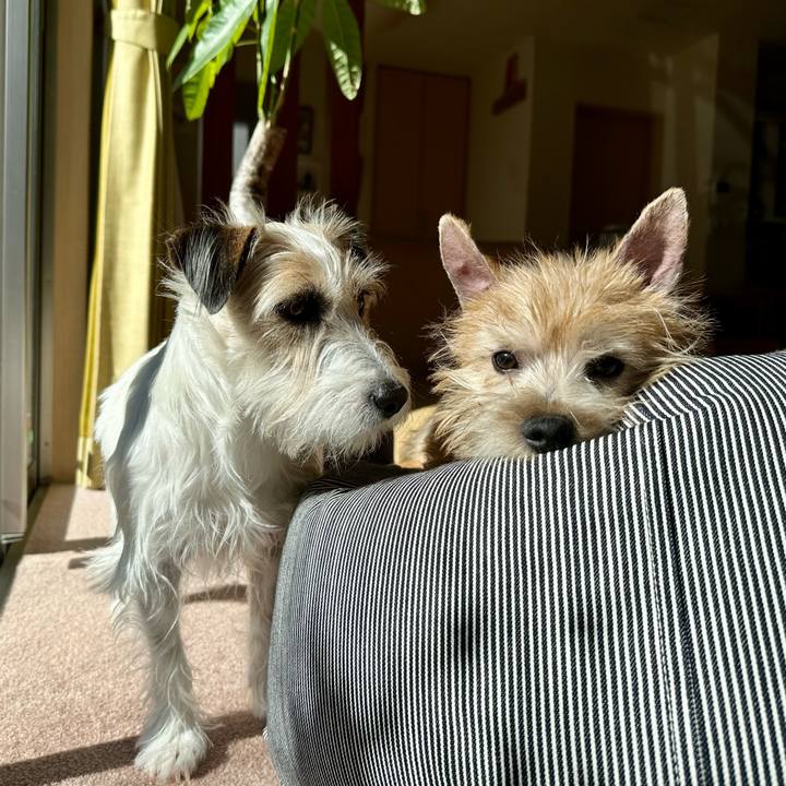 6aa1bdb6 9279 4af0 82f6 fb61c35863cb 1706089345893