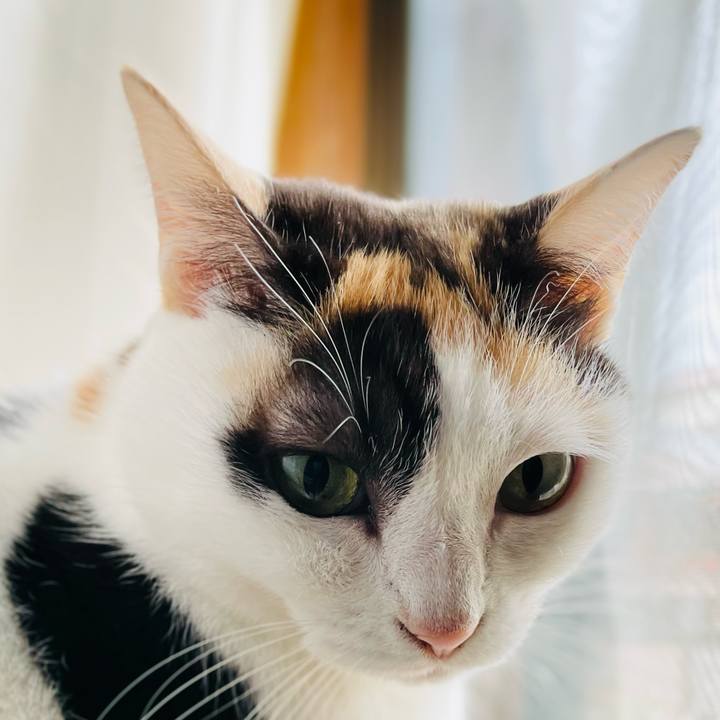 6aa1bfff 8c48 499a 92ca 17786880d3ec 1637981236020