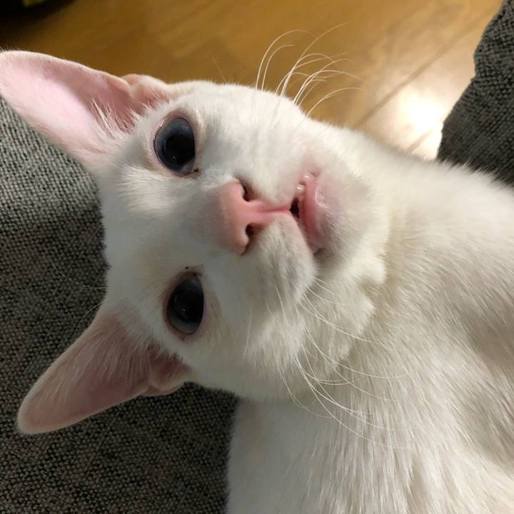 6aa1d709 f072 4307 a8cf 8ec8865124a2 1549447700687