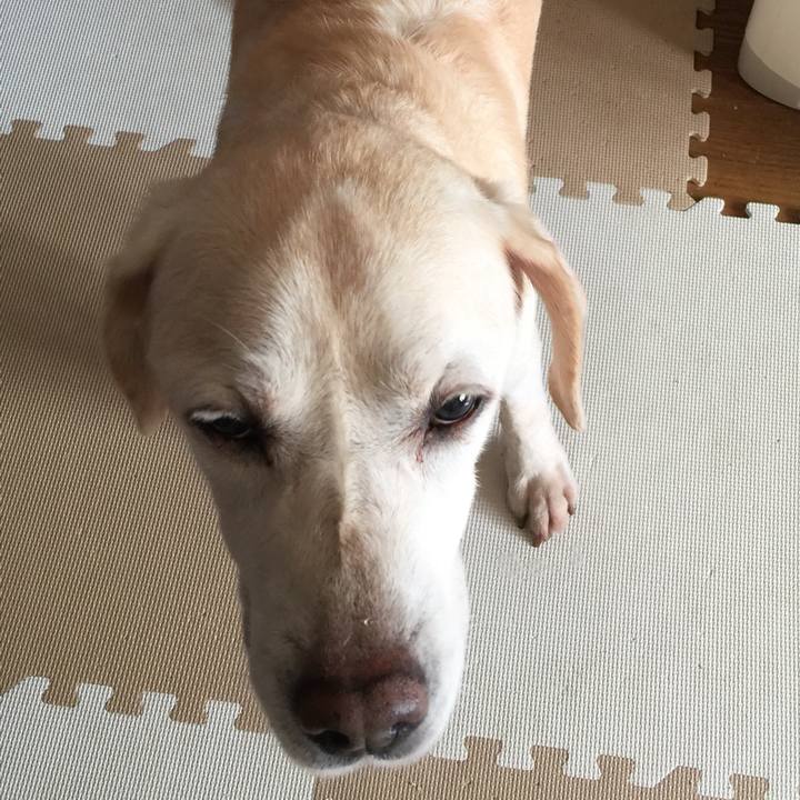 6aa1e527 31f3 49aa 9a05 be7e8302a86a 1569371543377