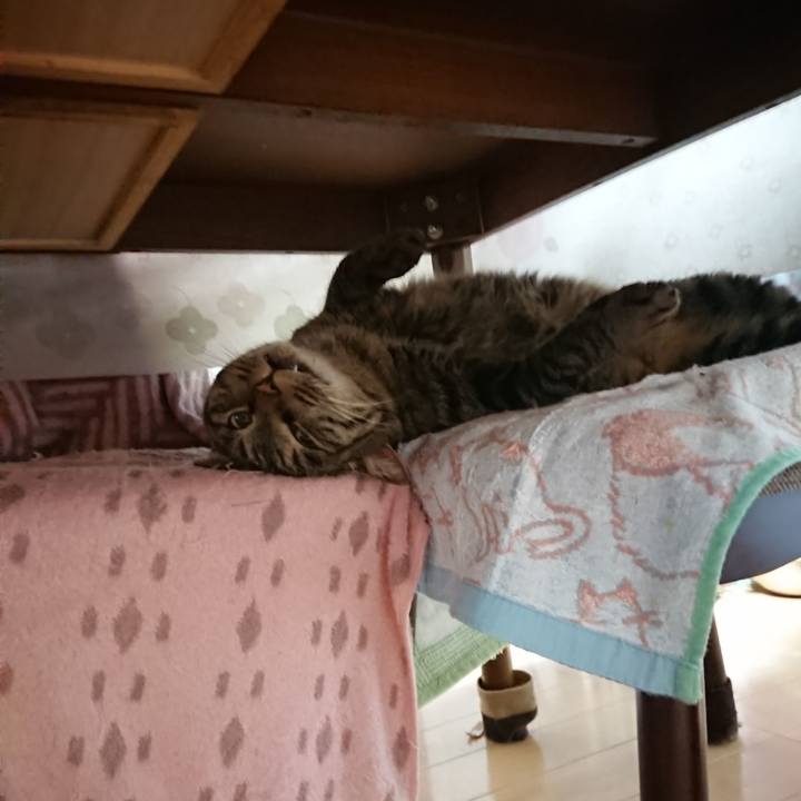 6aa217c9 5fbe 4ea4 969b 6f4202aa5653 1639860115441