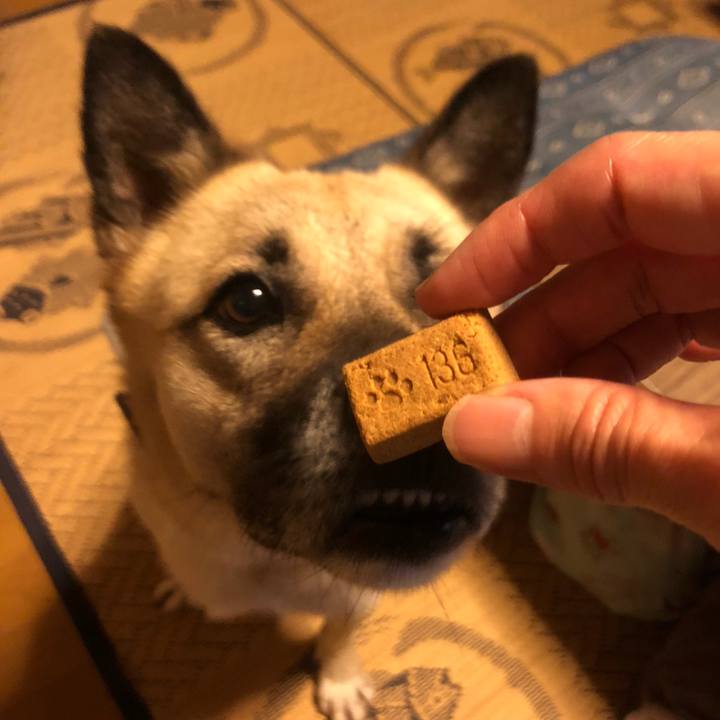 6aa24695 8044 4bd0 9f82 a05789455193 1566474432681