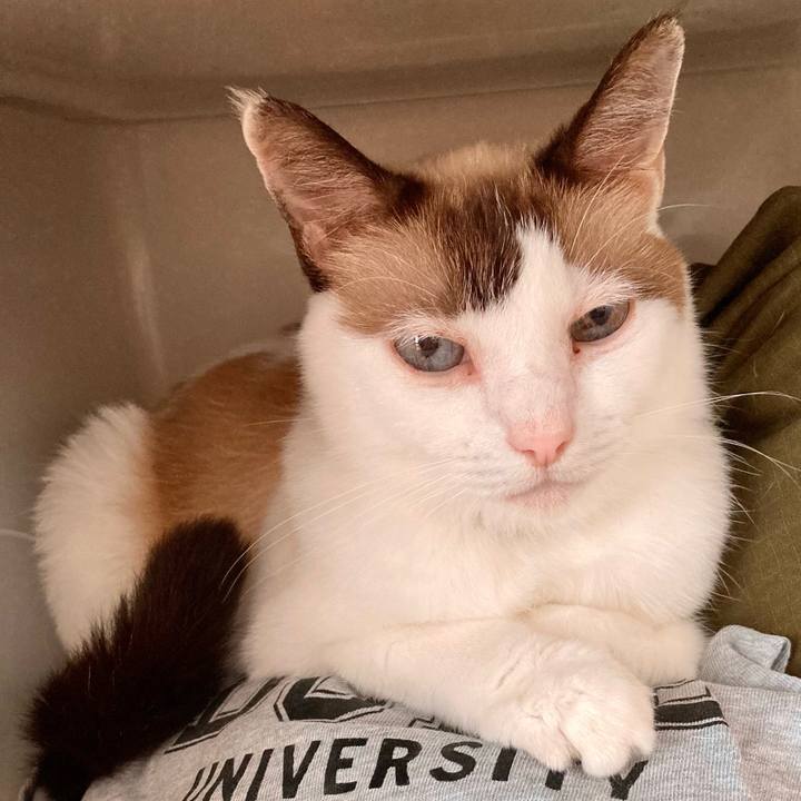 6aa24772 83c2 4fac 9873 280102e1bdc7 1633832528322