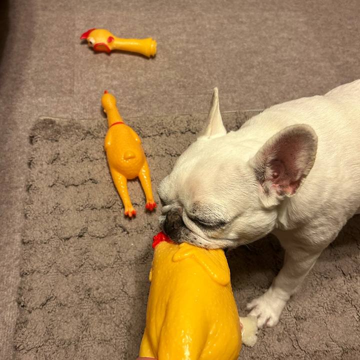 6aa25758 e4fd 421e b6a9 93dbda71d614 1731583276981