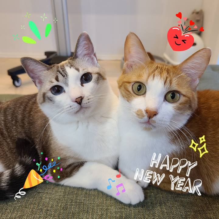 6aa25e47 a45b 4f40 a9f3 f1bc599ebd85 1641262740594